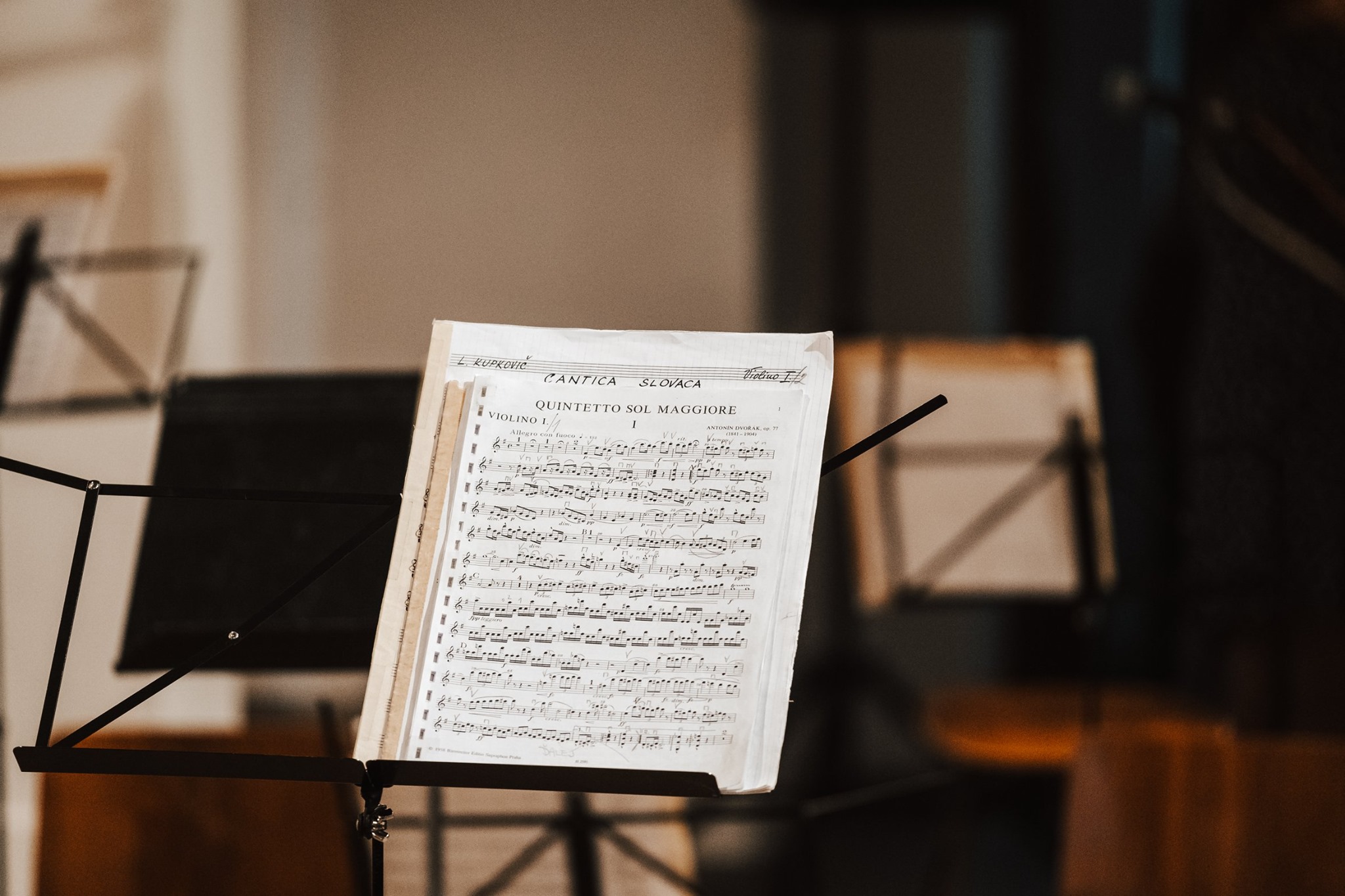 obrázok: Nitrianska hudobná jar prinesie sériu koncertov vážnej hudby