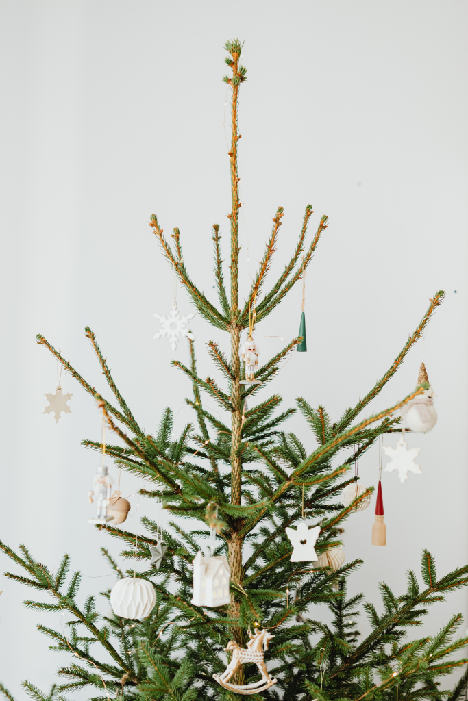 Fotografia vianočného stromu s prírodnými ozdobami