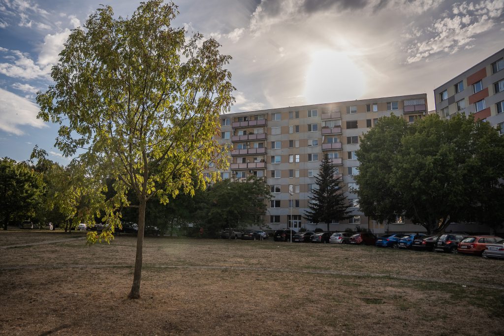 strom lúka a bytovky